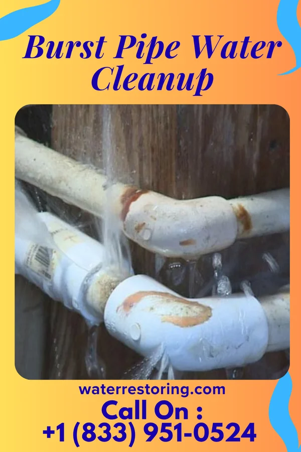 Burst Pipe Water Cleanup in Lake Meredith Estates, TX