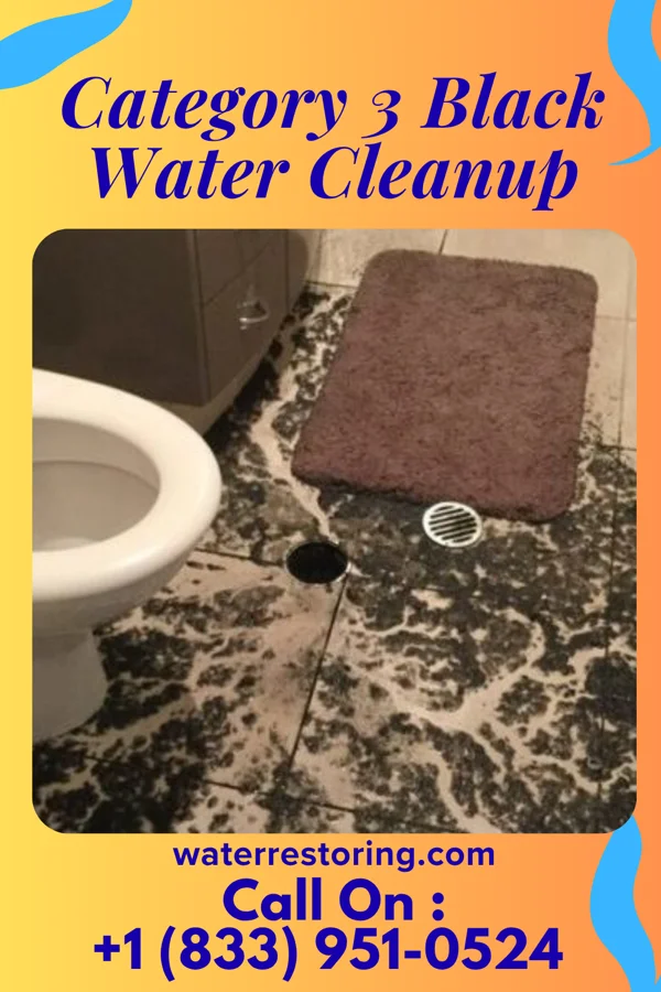 Category 3 Black Water Cleanup in Lake Meredith Estates, TX
