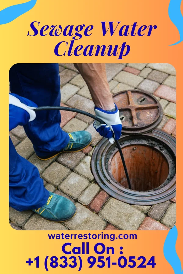 Sewage Water Cleanup in Lake Meredith Estates, TX